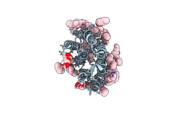 9F9I image