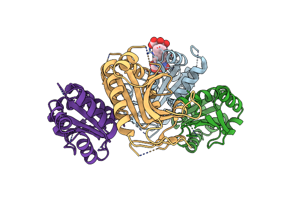 9F9K image