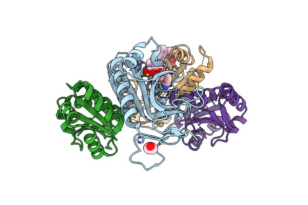 9F9L image