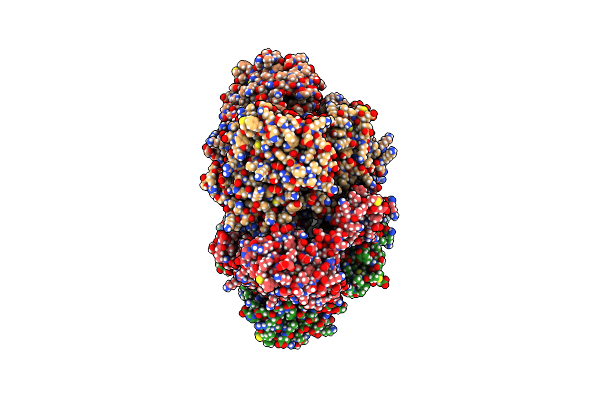 9F9N image