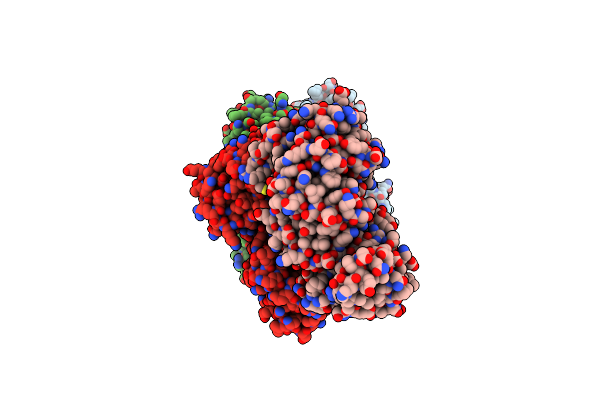 9F9R image