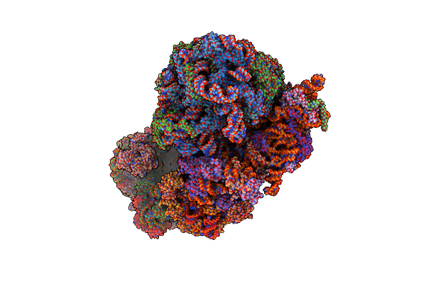 9F9S image