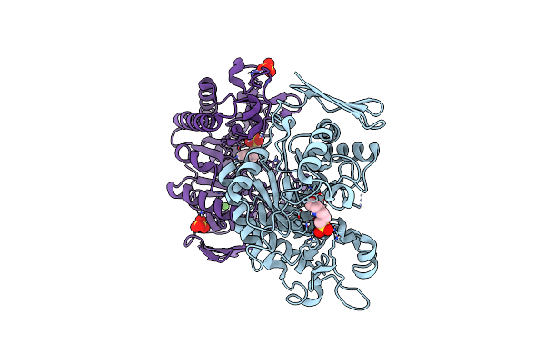 9F9V image