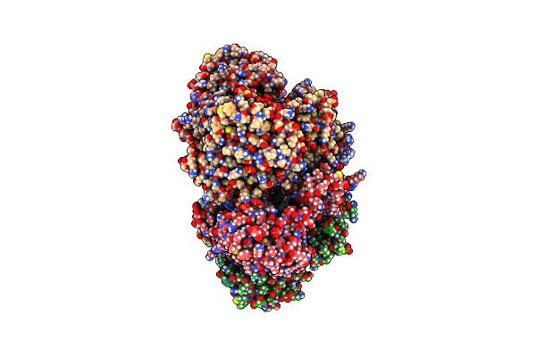 9F9W image