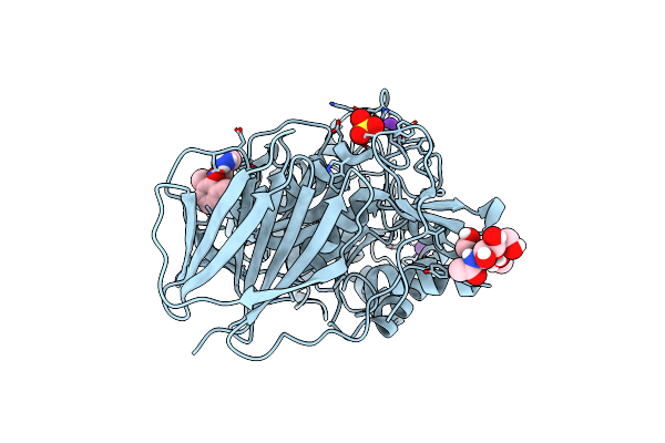 9F9Z image