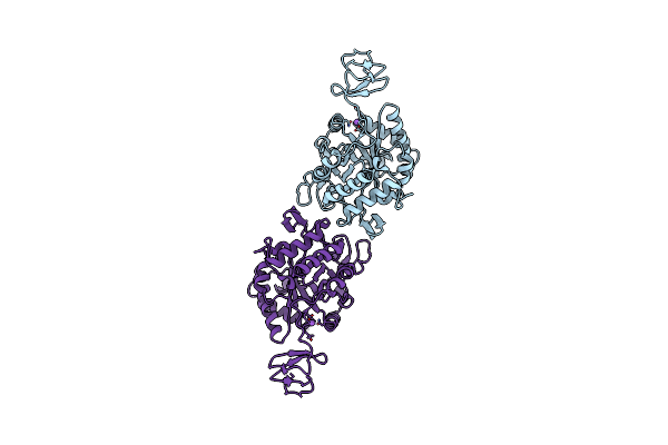 9FBP image