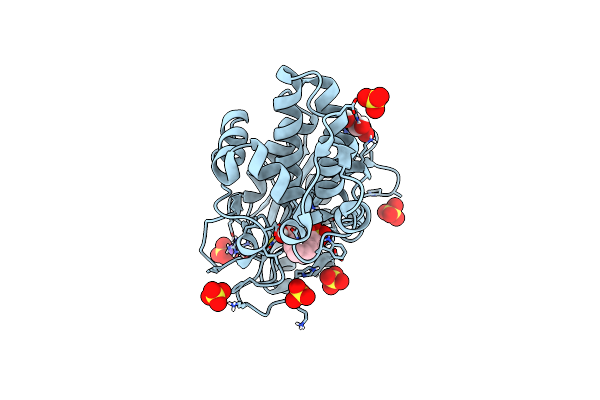 9FBT image