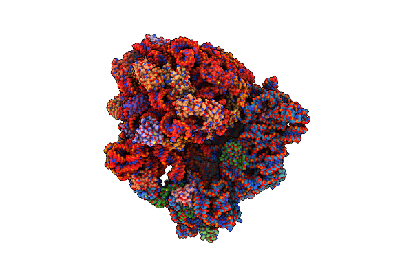 9FBV image