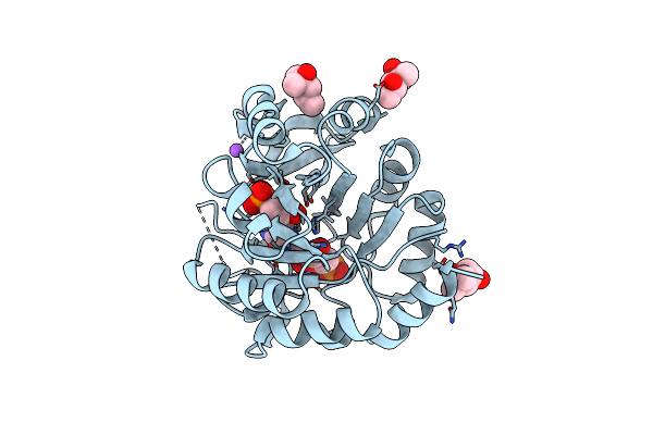 9FCG image