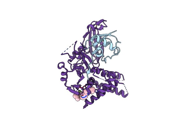 9FCI image