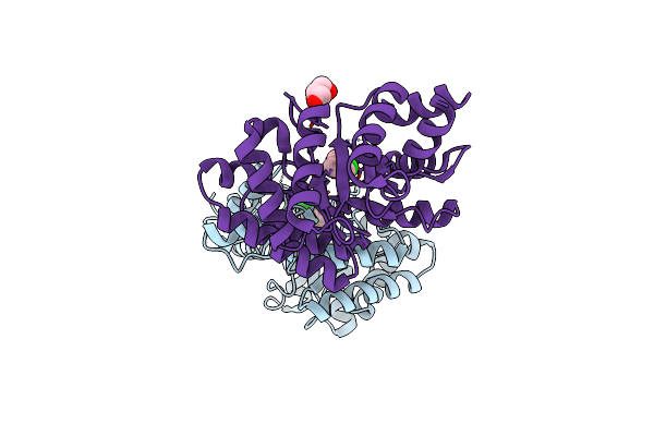 9FD8 image