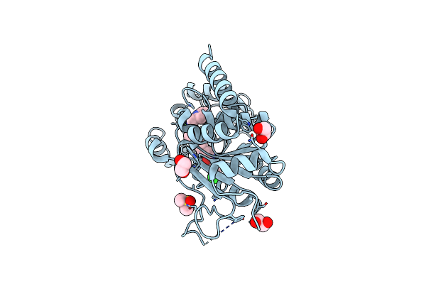 9FDW image