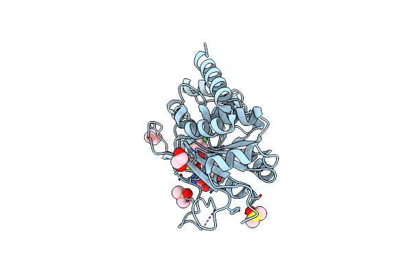 9FDX image
