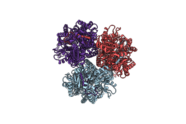 9FDZ image