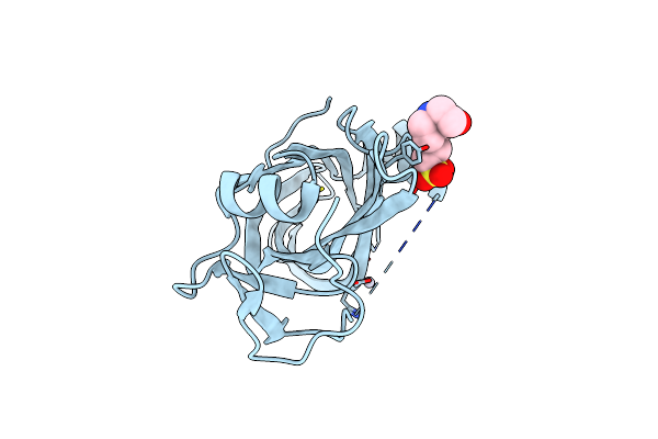 9FEI image
