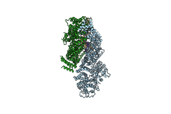 9FFB image
