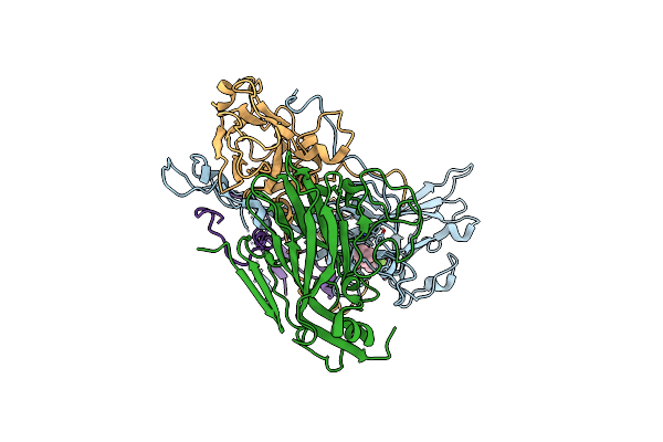 9FGN image
