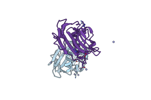 9FGP image