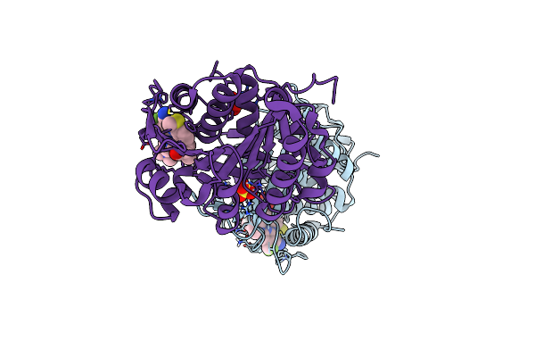 9FHD image