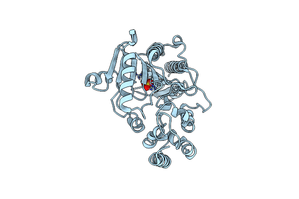 9FHO image