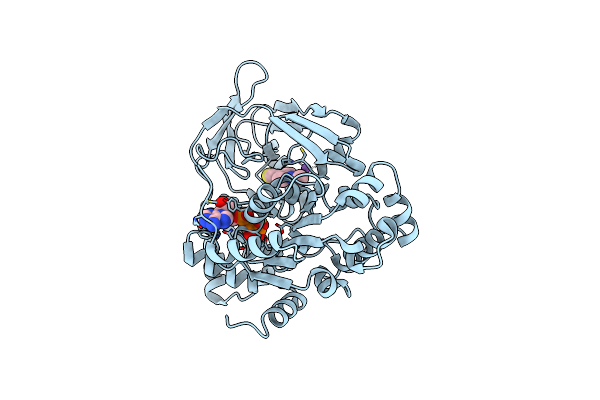 9FI9 image
