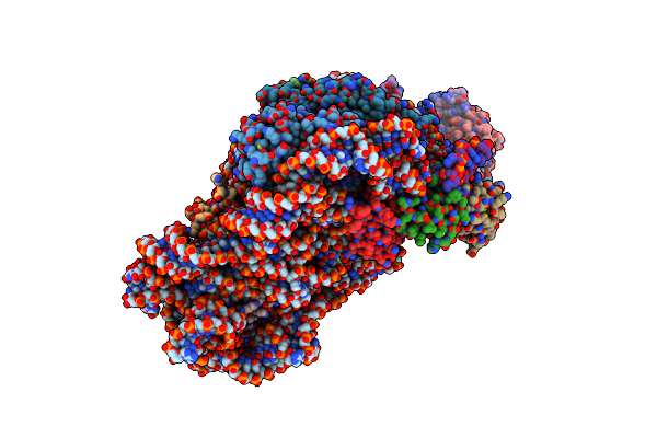 9FIB image