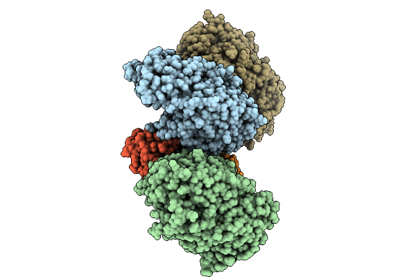 9FID image