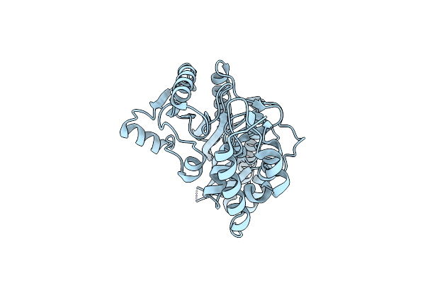 9FIG image