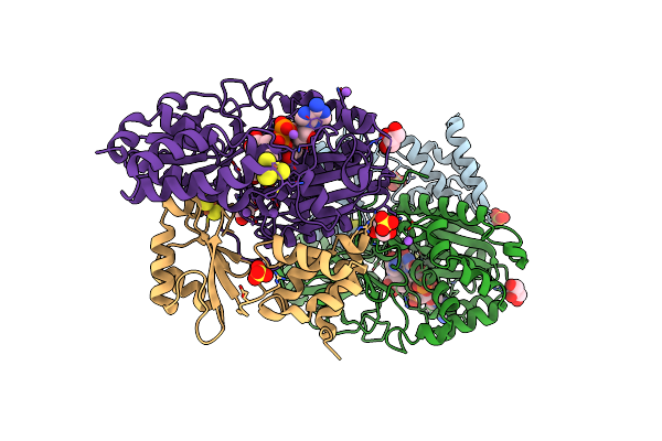 9FIH image