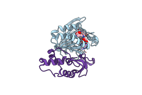 9FIM image