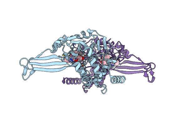 9FIP image