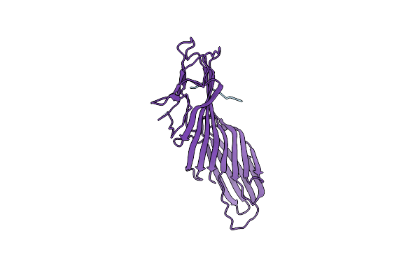 9FIX image