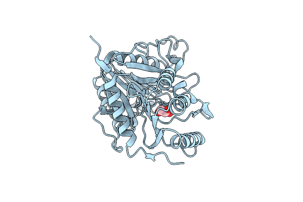 9FJ0 image
