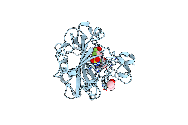 9FJQ image