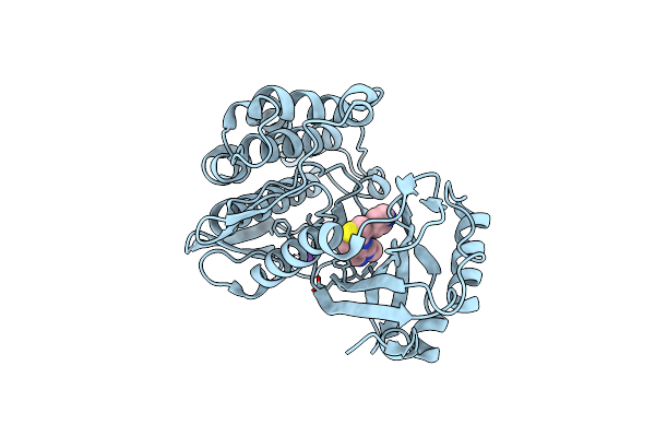 9FLB image