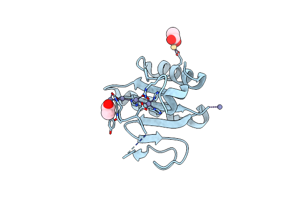 9FLH image
