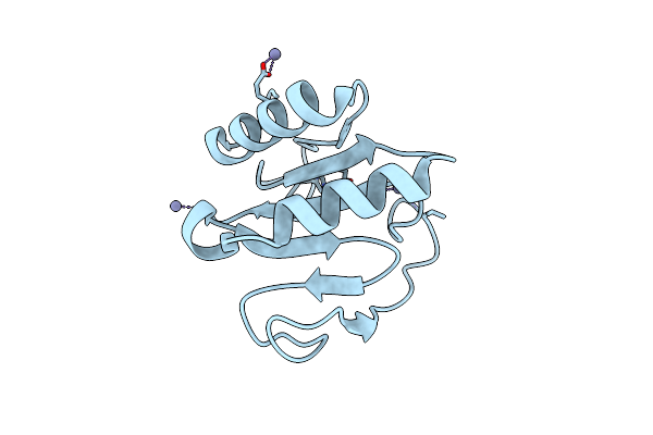 9FLM image