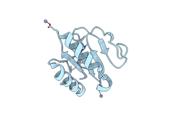 9FLN image
