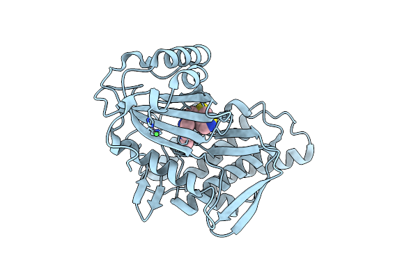 9FLO image