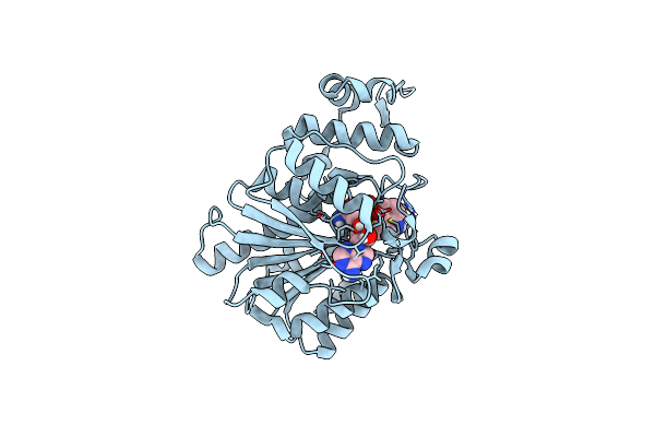 9FMI image