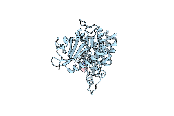 9FMO image