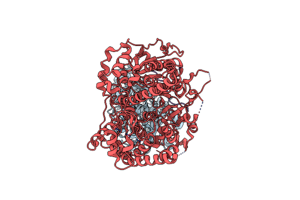 9FMS image