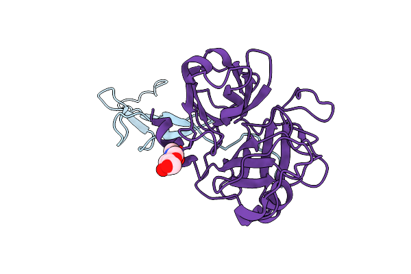 9FNM image