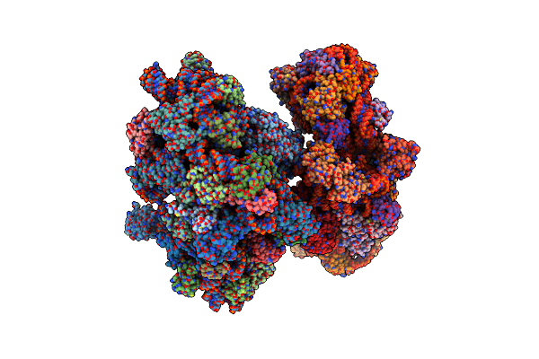 9FNY image