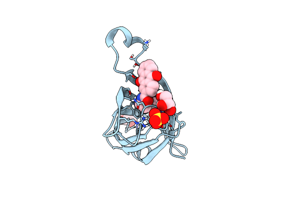 9FOA image