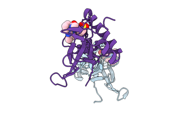 9FOC image