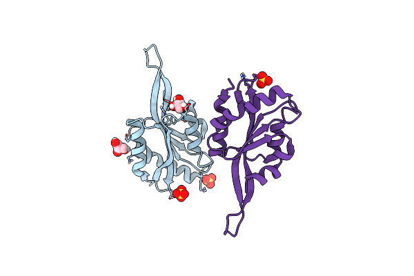 9FP8 image