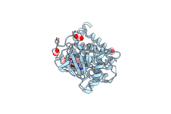 9FPD image