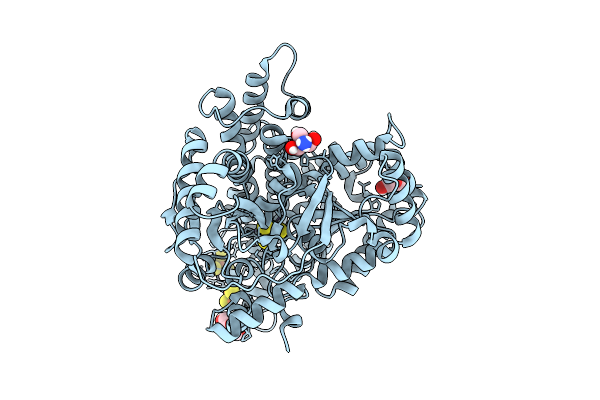 9FPF image