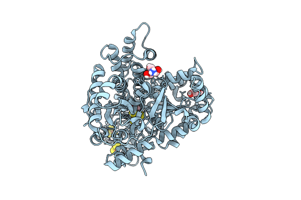 9FPH image